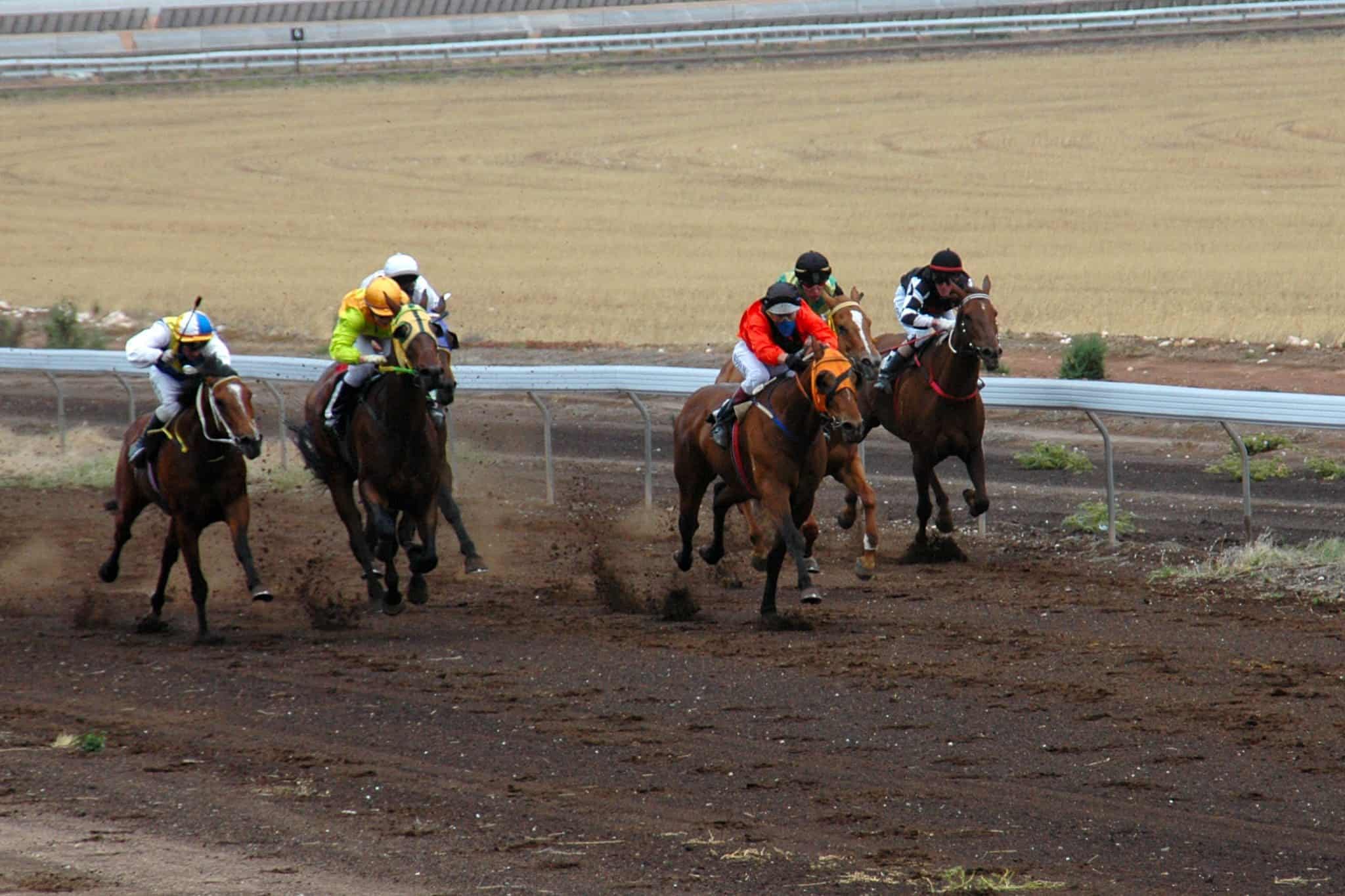 Horses on track at the Ceduna Race Club
